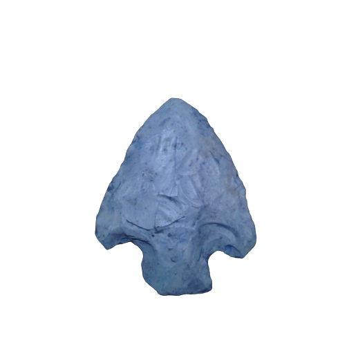 Affinis Snyders point, photo 12