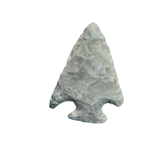 Affinis Snyders point, photo 13
