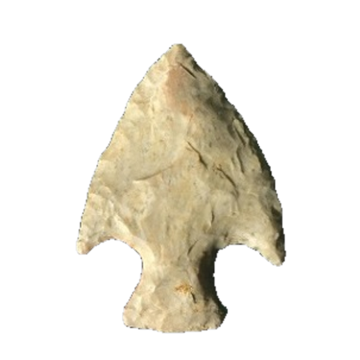 Affinis Snyders point, photo 17
