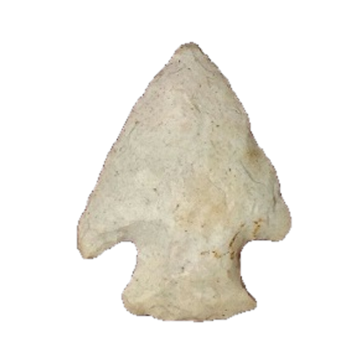 Affinis Snyders point, photo 18