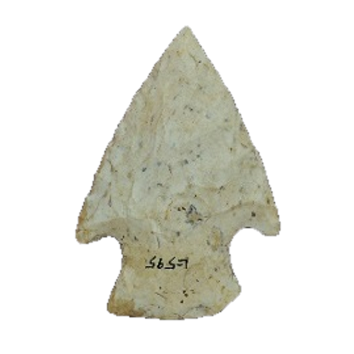 Affinis Snyders point, photo 19