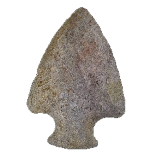 Affinis Snyders point, photo 20