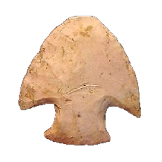Affinis Snyders point, photo 21