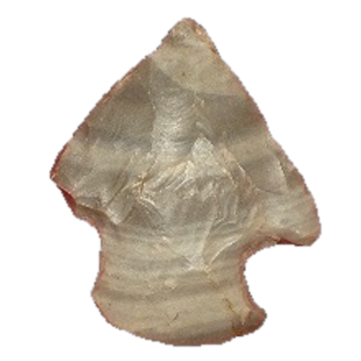 Affinis Snyders point, photo 23