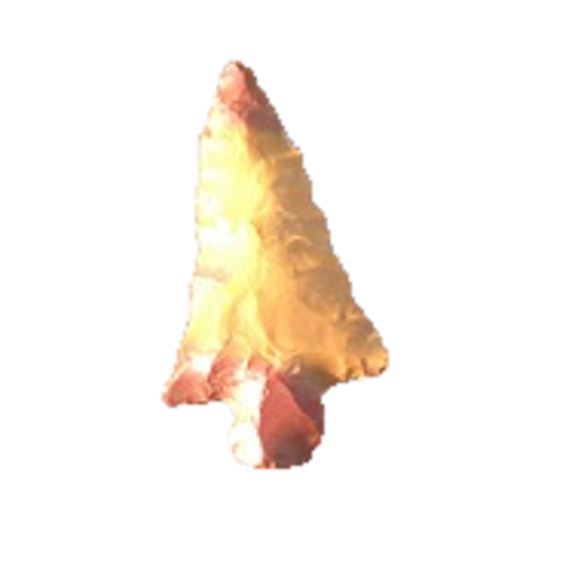 Alba Barbed point, photo 3