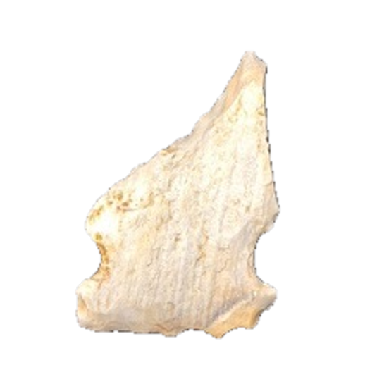 Albany Spokeshave point, photo 5