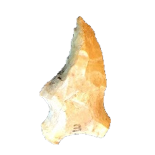 Albany Spokeshave point, photo 6