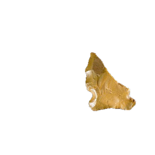 Albany Spokeshave point, photo 8