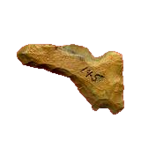 Albany Spokeshave point, photo 12