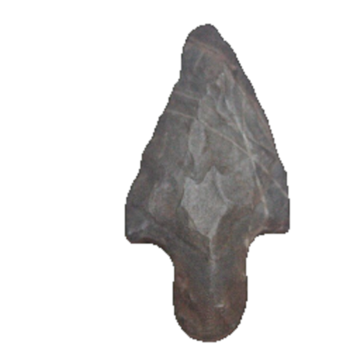 Axolotl point, photo 2