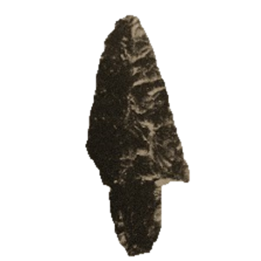 Axolotl point, photo 3