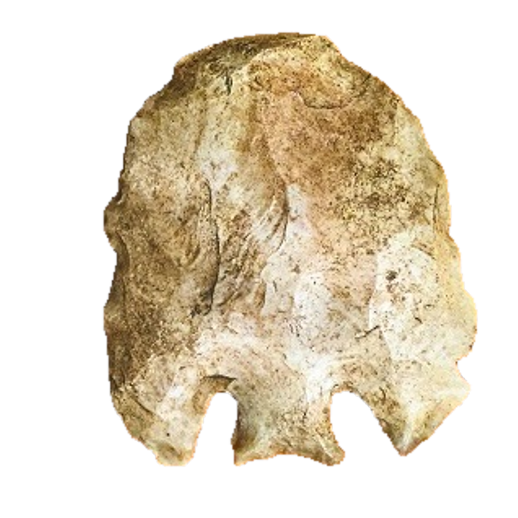 Base Tang Knife point, photo 13