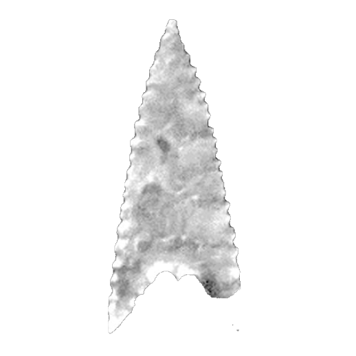 Bassett Pointed Stem point, photo 4