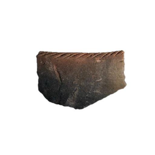 Belle Glade Plain pottery, photo 2