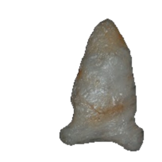 Big Sandy Broad Base point, photo 4