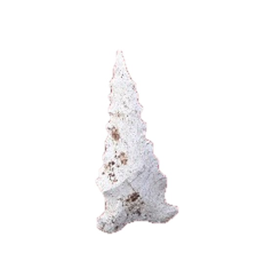 Bolen Bevel point, photo 6