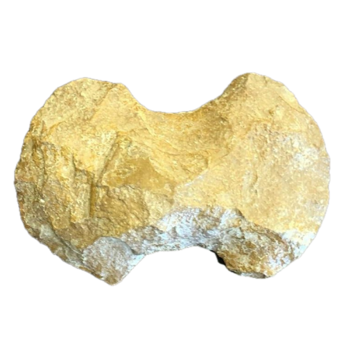 Guilford/Bowtie Axe stone tool, photo 4