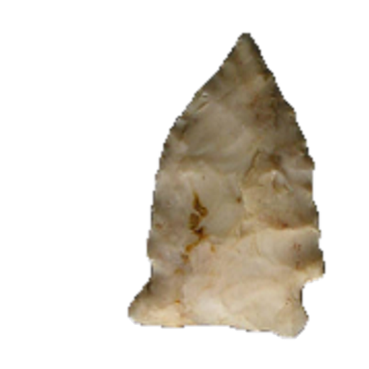 Brewerton Eared point, photo 2