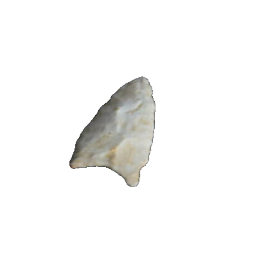 Brewerton Eared point, photo 7