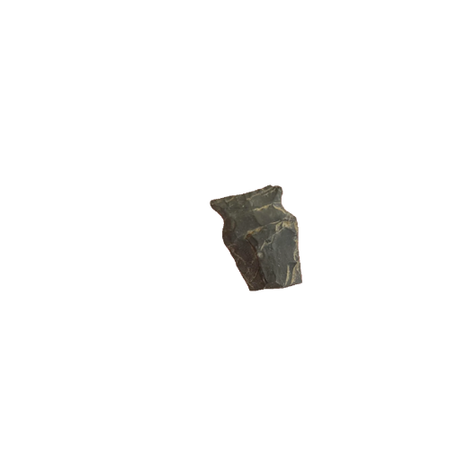 Brewerton Eared point, photo 8