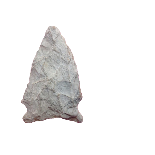 Brewerton Eared point, photo 12