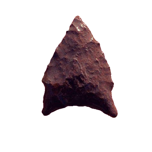 Brewerton Eared point, photo 13