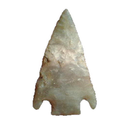 Citrus Basal Notch point, photo 2