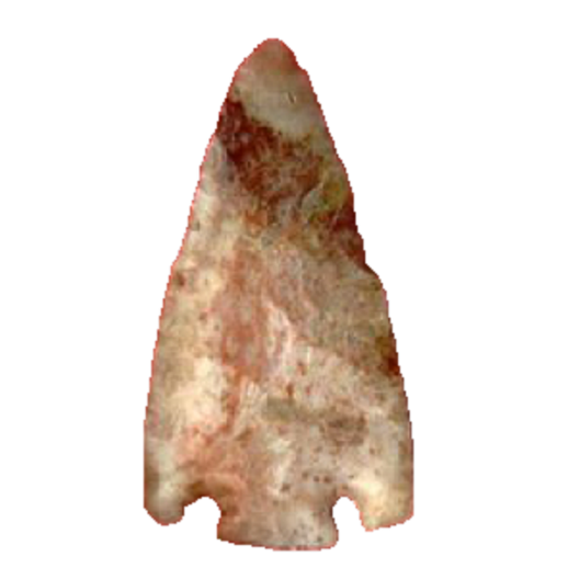 Citrus Basal Notch point, photo 3