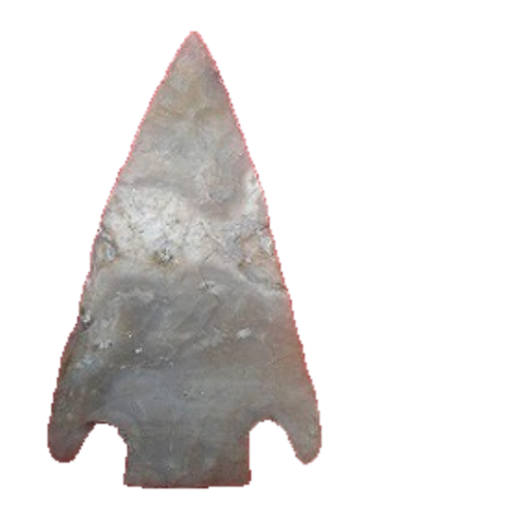 Citrus Basal Notch point, photo 4