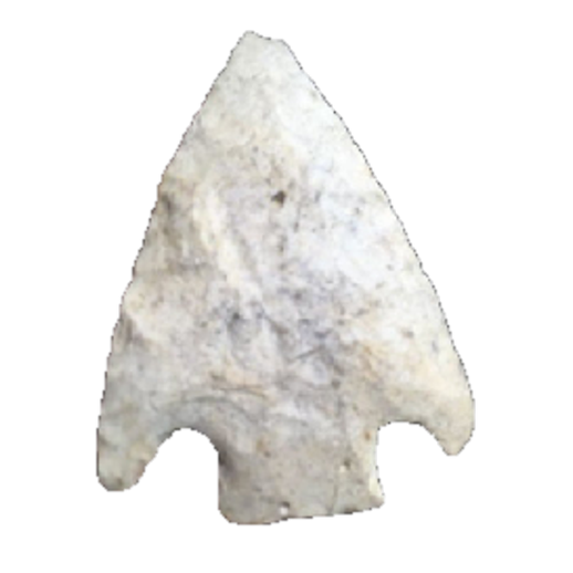 Citrus Basal Notch point, photo 5