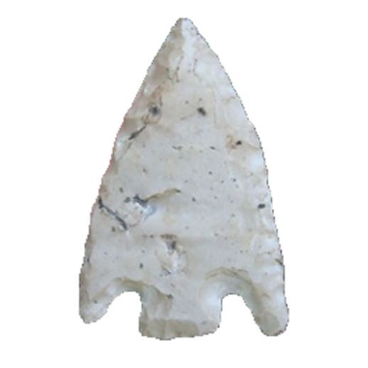 Citrus Basal Notch point, photo 6