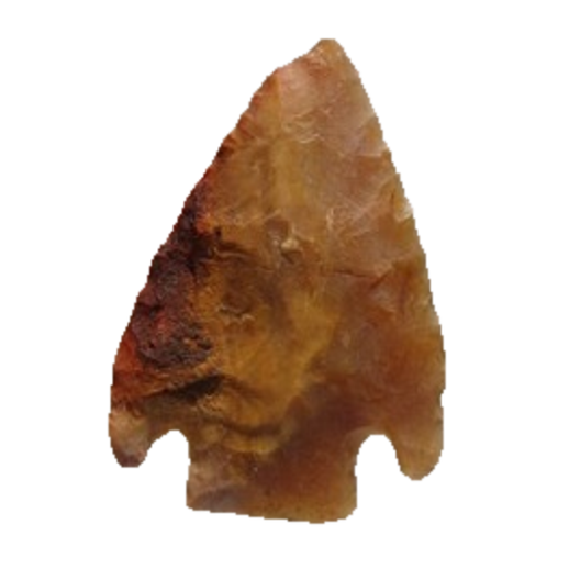 Citrus Basal Notch point, photo 7