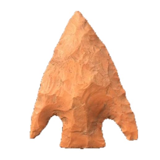 Citrus Basal Notch point, photo 8