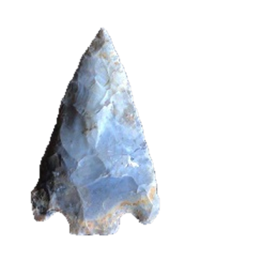 Citrus Basal Notch point, photo 9