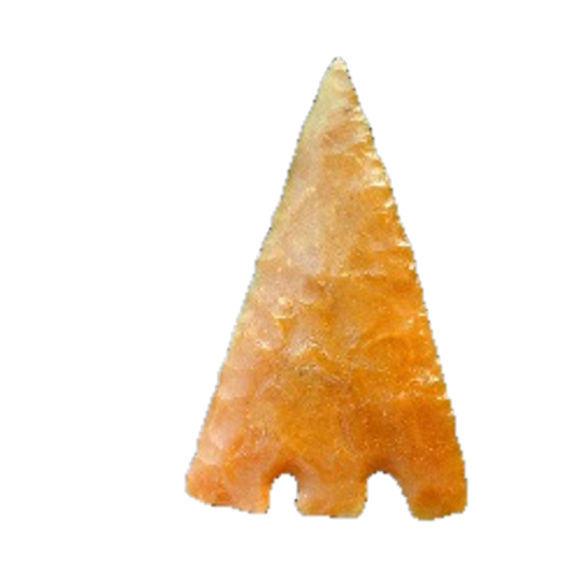 Citrus Basal Notch point, photo 10
