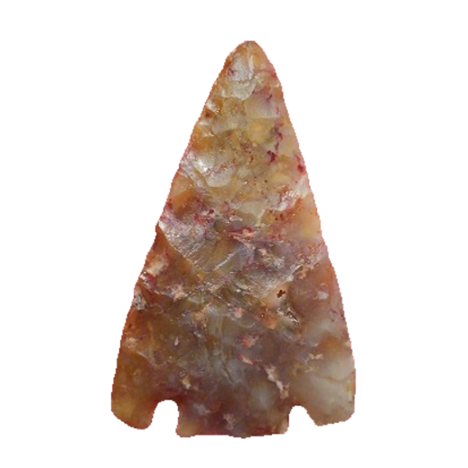 Citrus Basal Notch point, photo 11