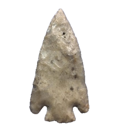 Citrus Basal Notch point, photo 13