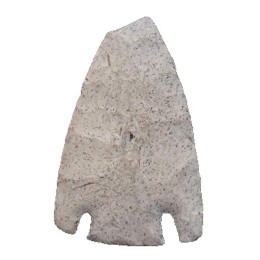 Citrus Basal Notch point, photo 14