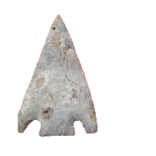 Citrus Basal Notch point, photo 15