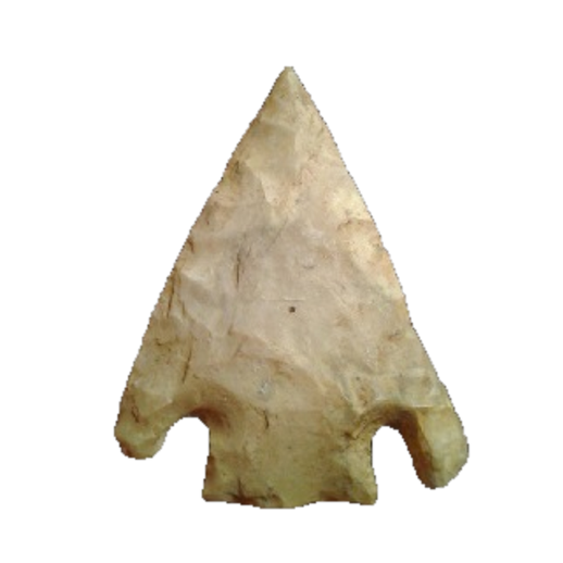 Citrus Basal Notch point, photo 16