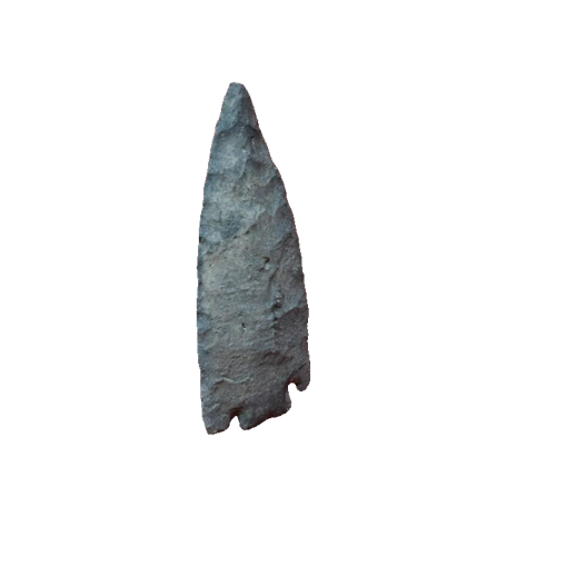 Citrus Basal Notch point, photo 18