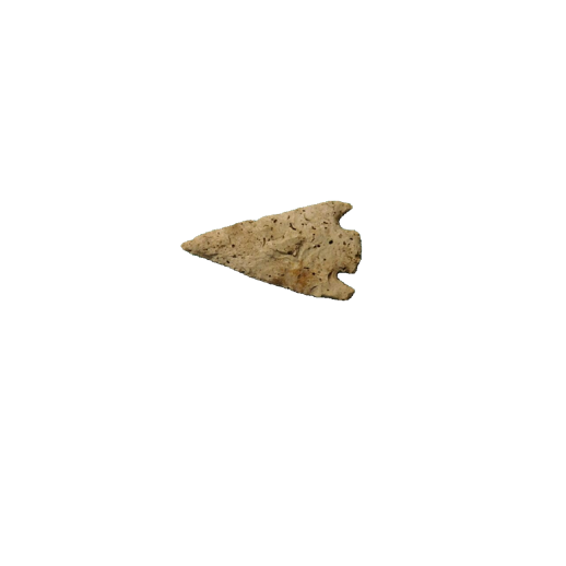 Citrus Basal Notch point, photo 19