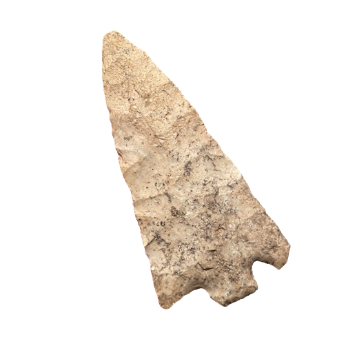 Citrus Basal Notch point, photo 20