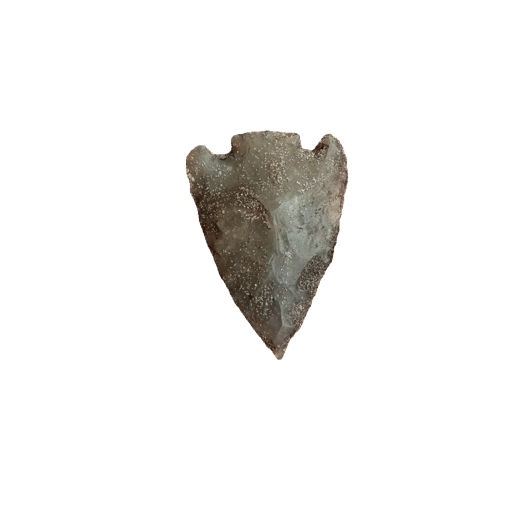Citrus Basal Notch point, photo 21