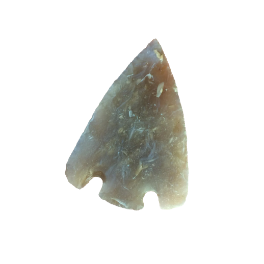 Citrus Basal Notch point, photo 22