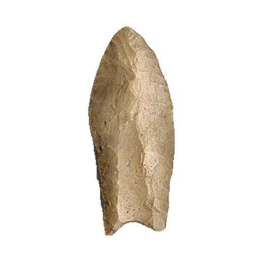 Clovis Fluted point, photo 9