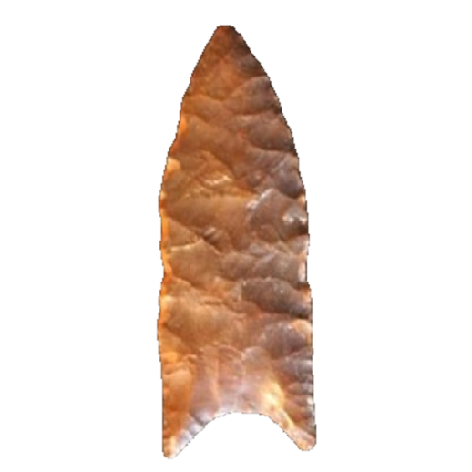 Clovis Fluted point, photo 20