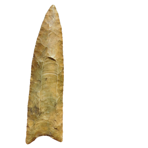Clovis Fluted point, photo 23