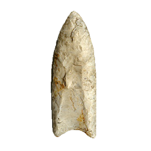 Clovis Fluted point, photo 24