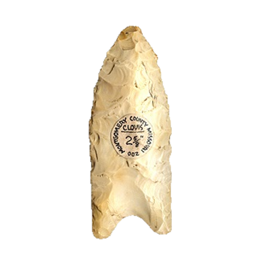 Clovis Fluted point, photo 30